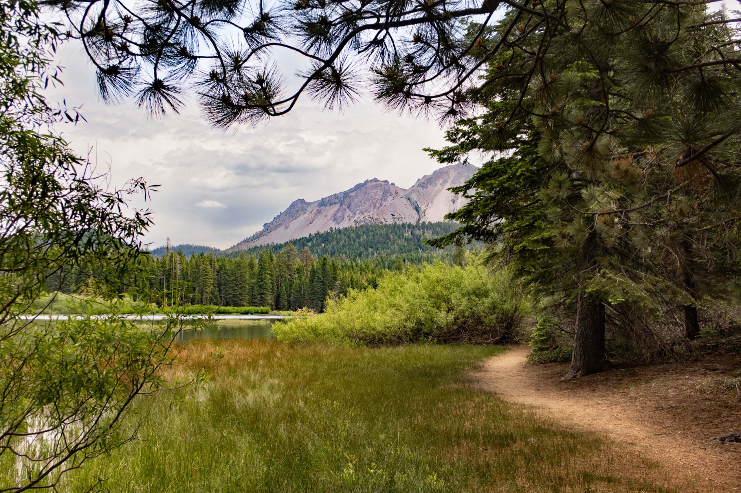 Chaos Crags framed by a pine bough above the meadow trail toward Manzanita Lake