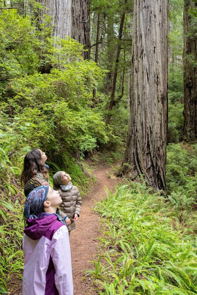 Black American father and twin brother tending gardens