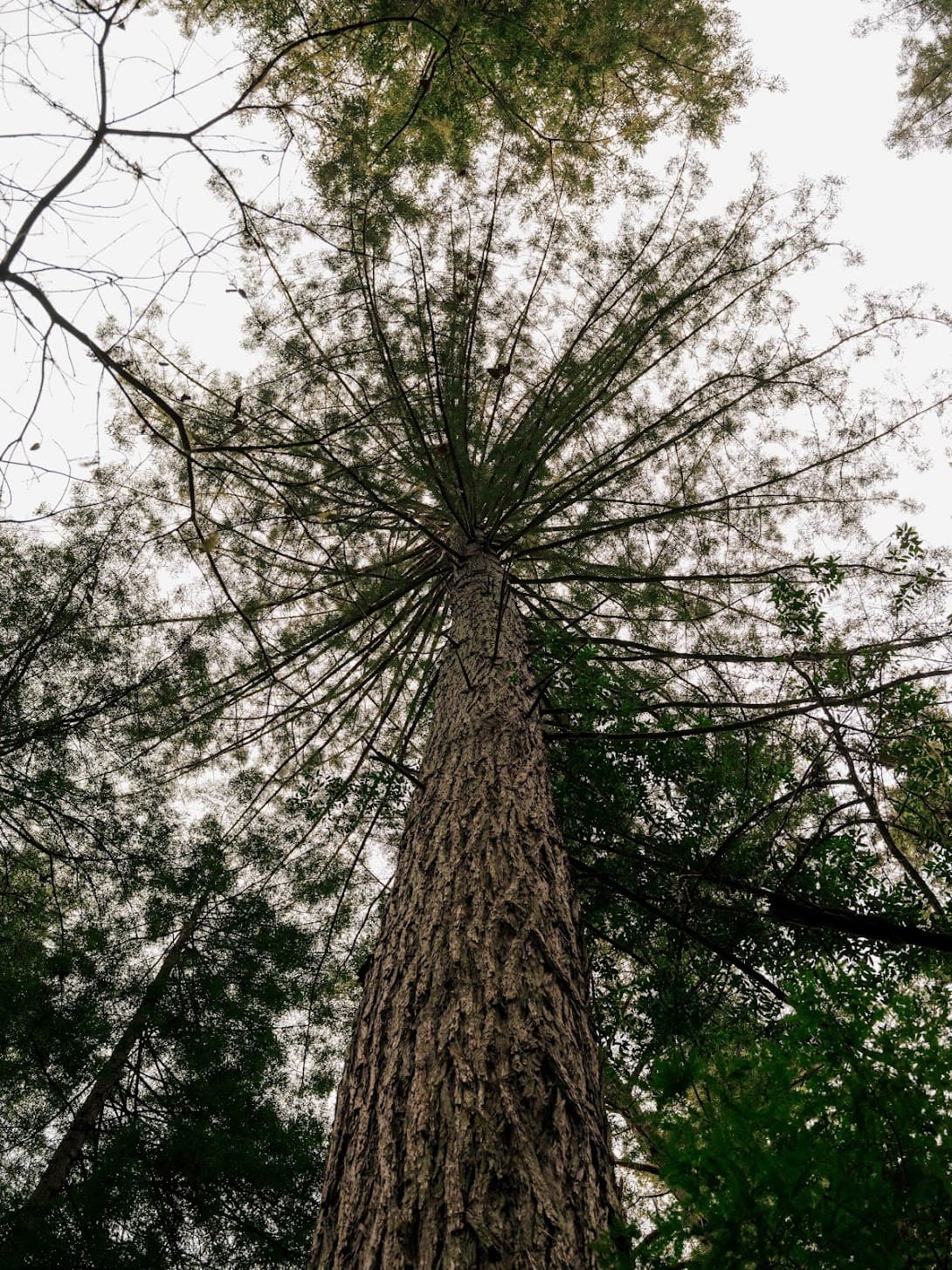 Environmental Stewardship