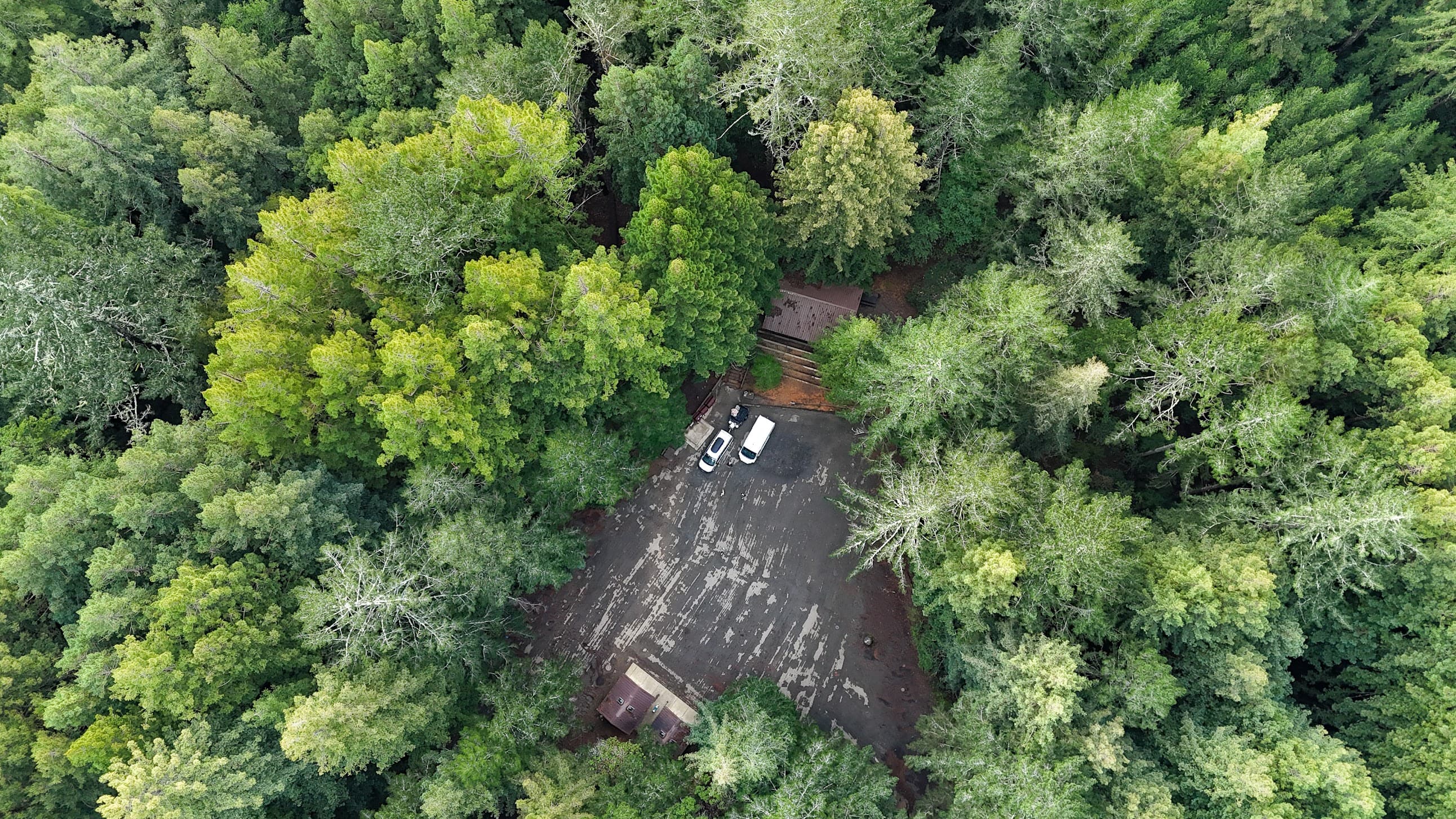 Outdoorithm Collective community members outdoors