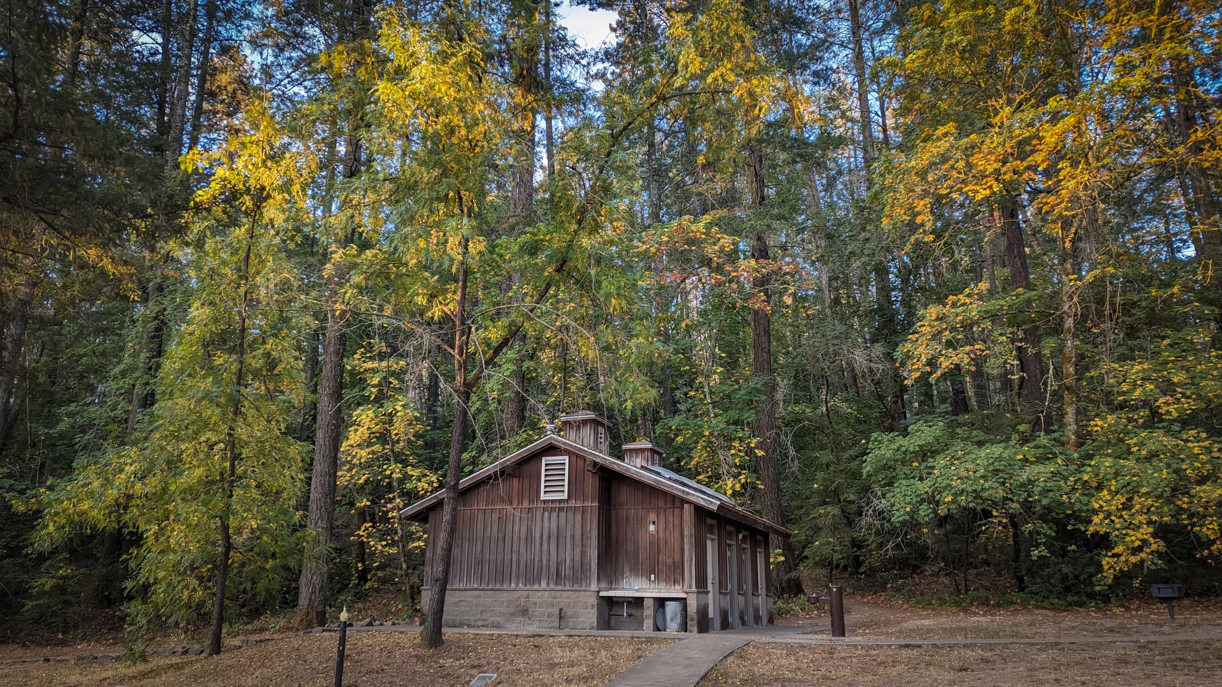 Deep Roots: An MLK Weekend Under the Oaks